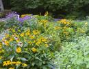 web gallery originals - 09.jpg